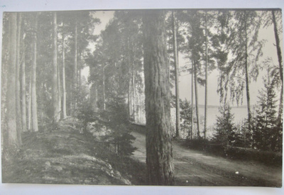 VANHA Postikortti Punkaharju 1929