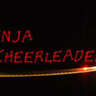 NINJA CHEERLEADERS dvd 2008 - pikkukuva 5