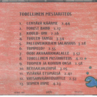 TODELLINEN MESTARITEOS - pikkukuva 2