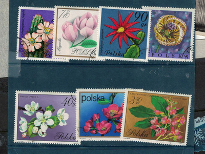 Kukkia, 6 isoa, Puolasta