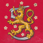 VAAKUNAKORTTI KULKEMATON - pikkukuva 1