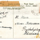Vanha kortti, lapset ja linnut, vuodelta 1910 - pikkukuva 2