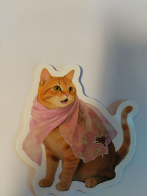Kissa tarra.