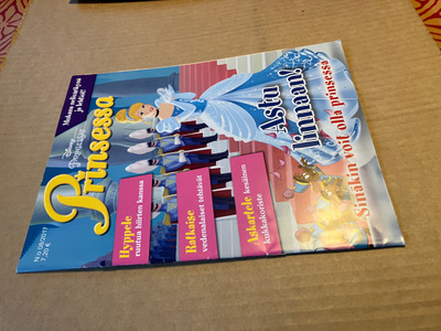 PRINSESSA LEHTI 8/2017 HYVÄ