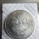 American silver eagle 1996 - pikkukuva 2