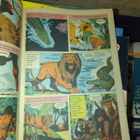 Lassie lehti 1973 - pikkukuva 2