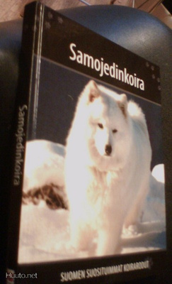 SAMOJEDINKOIRA (Suomen suosituimmat koirarodut (Sis.pk:t)