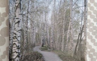 Mgaya - Kanssasi kulkemaan