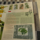 Kiinan  kirja   jossa 15 postimerkkiä.1993-1996. - pikkukuva 3