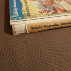 Amazonasin aarre - pikkukuva 2