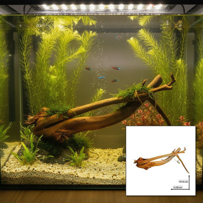 Uniikki akvaariojuurakko 35 cm | 102