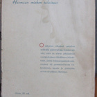 Kaarlo Erho: Harmaan miehen salaisuus. 169 s. - pikkukuva 3