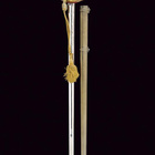 Upseerimiekka M1833 – Sardinian kuningaskunta, n. 1850 - pikkukuva 2