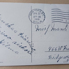 Koristellut Pääsiäismunat, pajunkissoja, p. 1916 USA - pikkukuva 2