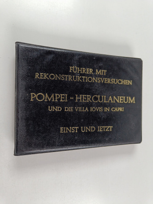 Alfonso de Franciscis : Fuhrer mit Rekonstruktionsversuch...