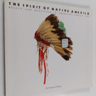 Anna Lee Walters : The spirit of native America : beauty ... - pikkukuva 1