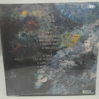 Ninni Poijärvi – Wild Is the Wind LP - pikkukuva 2