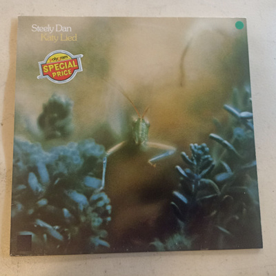 LP Steely Dan Katy lied