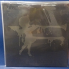 PROFANATICA - DISGUSTING BLASPHEMIES AGAINST GOD M/M LP - pikkukuva 2