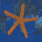 FISH:13TH STAR 2023 REMIX 3CD+BLURAY - pikkukuva 1