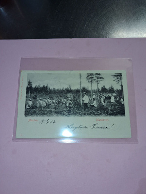 Suomalainen sotaväki. 8.5.1902.