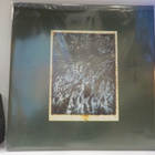 DEAD REPTILE SHRINE - BURNING BLACK INFIXITY - UUSI 2LP - pikkukuva 2