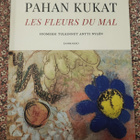 Pahan kukat Charles Baudelaire - pikkukuva 1