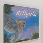 Judith Nicholls : Billywise - pikkukuva 1
