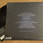Bob Dylan – Fallen Angels (HUIPPULAATU LP) - pikkukuva 2