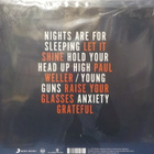 DAMN SEAGULLS - LET IT SHINE - FIN 2014 UUSI LP - pikkukuva 2