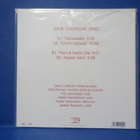 DAVE LINDHOLM- AINO UUSI "SS" FIN 2019 LP - pikkukuva 2