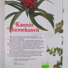 Tuula (suom.) Syvänperä : Kauniit huonekasvit - pikkukuva 2