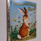 Margaret Wise Brown : Pupu etsii omaa kotia - pikkukuva 1