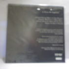 ENTHRONING SILENCE - A DREAM OF NIGHTSKIES M/M LP - pikkukuva 2