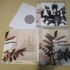AMORPHIS - Tuonela LP - pikkukuva 1