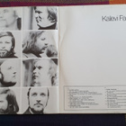Kalevi Falk - Kalevi Falk (LP) - pikkukuva 2