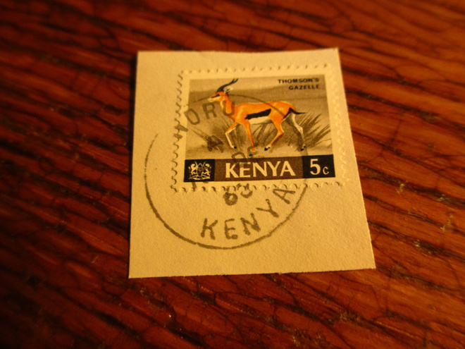 kenia pm leike antilooppi