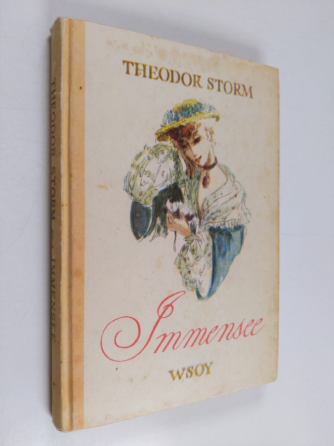Theodor Storm : Immensee ja muita novelleja
