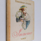Theodor Storm : Immensee ja muita novelleja - pikkukuva 1