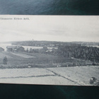 Viitasaari - 1908 - pikkukuva 1