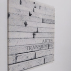 Artes transientes : kuvakooste ja 14 kirjoitusta - pikkukuva 1