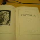 Homeros: Odysseia - pikkukuva 2