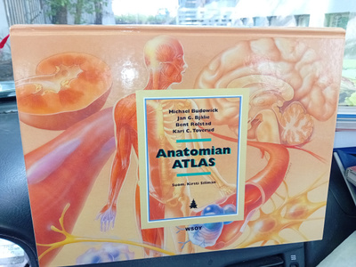 Budowick : Anatomian atlas ( SIS POSTIKULU )
