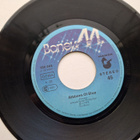 BONEY M-HOORAY! HOORAY! IT'S A HOLL-HOLIDAY 7 " - pikkukuva 2