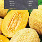 Meloni "Hale’s Best Jumbo" - siemenet # - pikkukuva 1