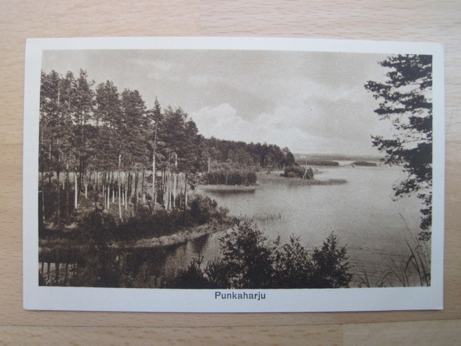 VANHA Postikortti Punkaharju 1920-luku