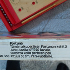 Aito Jukka fortuna- peli - pikkukuva 3