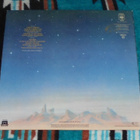 DAVID ALLAN COE ~ Castles In The Sand ~ LP - pikkukuva 2