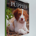 John Owen : Puppies - pikkukuva 1