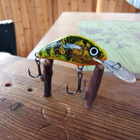 Salmo Hornet 4 Floating - pikkukuva 1